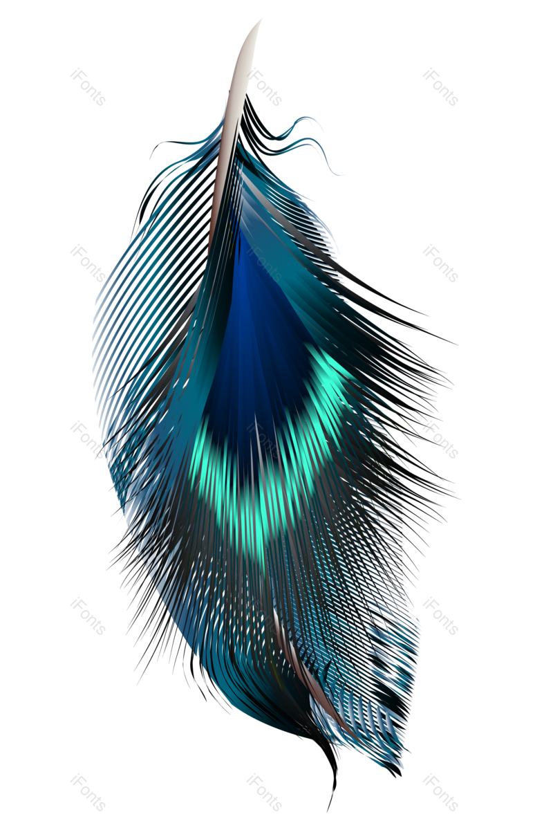 动物图片,矢量元素元素,羽毛PNG,免抠素材